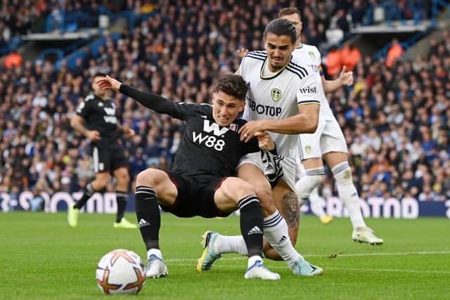IMPRESSION: Harry Wilson played for Fulham against Leeds United last season (Image: Stu Forster/Getty Images)