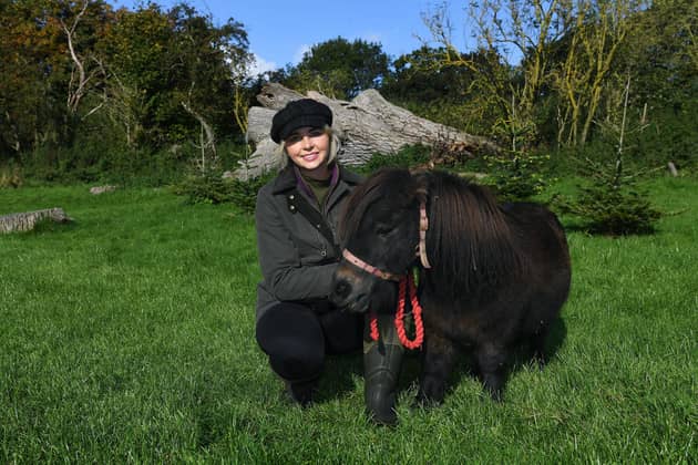 Hannah Russell who is an author of children's books and runs Swinton Green Animal Experiences, near Masham. Hannah with Alf her Shetland pony who features in one of the books.