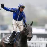 Defending champion: Paul Townend and Energumene celebrate after winning the Betway Queen Mother Champion Chase last year - and are aiming for a repeat today.