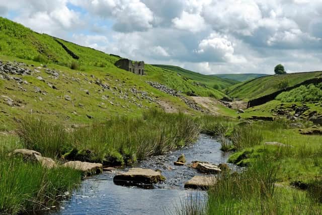 20 June 2016.......        Possible Picture Post
Stepping stones in Hebden Beck flowing  through Grassington Lead Mines near the village of Hebden. Picture Tony Johnson Technical details Fujifilm X-Pro1, 500th @f10 100 ISO
