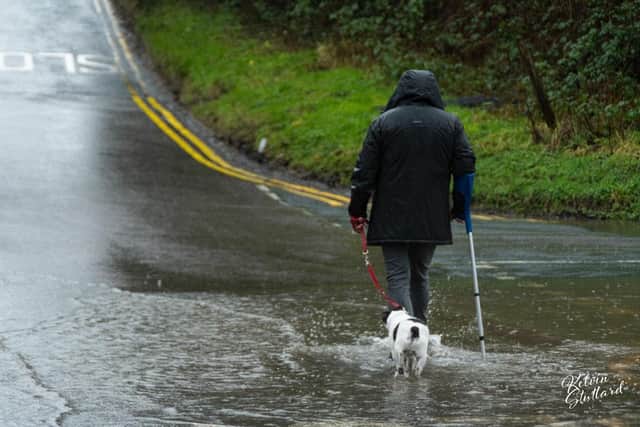 Experts share tips to protect dogs during a storm. (Pic credit: Kelvin Stuttard)