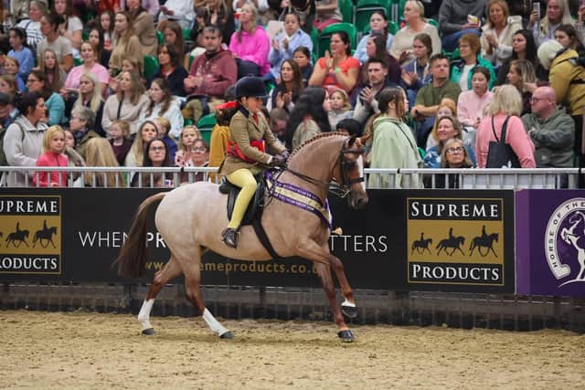 Jemima Makin-Jones riding eight-year-old strawberry roan Colway Belle of the Ball to victory at the Horse of the Year Show.