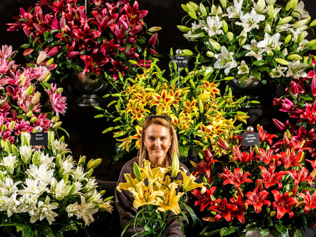Gemma Miller, infront of their amazing display of flowering Lilies by Harts Nursery, based in Cheshire. Picture By Yorkshire Post Photographer,  James Hardisty.
