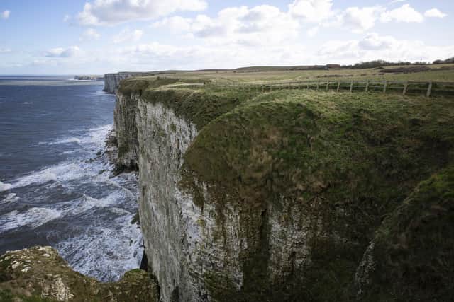 A dramatic cliff viewpoint at RSPB Bempton Cliffs Nature Reserve, East Yorkshire.
Michael Harvey