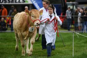 Isla Bentley from Thirsk at the Nidderdale Show