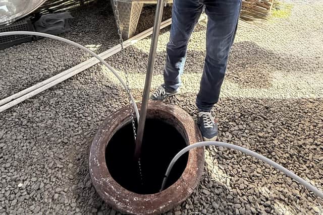 Plunging the grapes in a qvevri