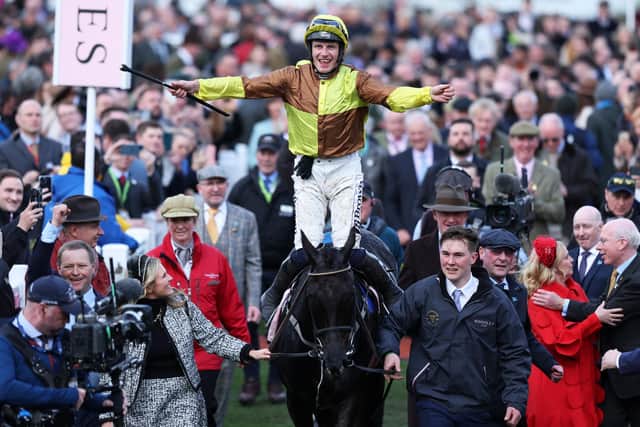 Simply the best: Paul Townend celebrates on board Galopin Des Champs after winning the Gold Cup. (Photo by Michael Steele/Getty Images)