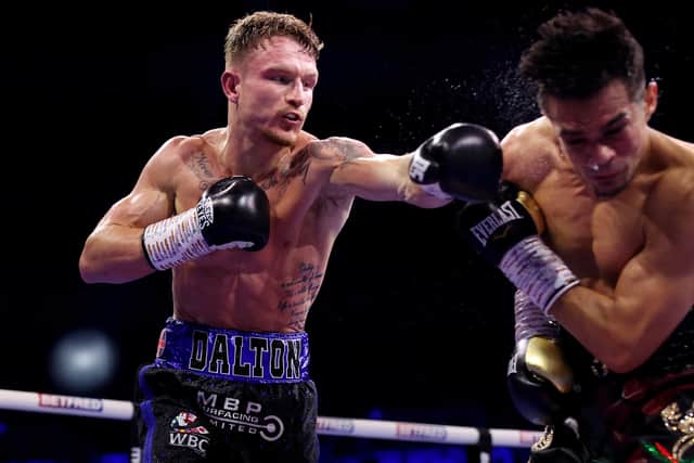 Home comforts: Dalton Smith punches Jose Zepeda during the WBC Silver Super Lightweight Title fight between Dalton Smith and Jose Zepeda at Utilita Area Sheffield on March 23, 2024 in Sheffield (Picture: George Wood/Getty Images)