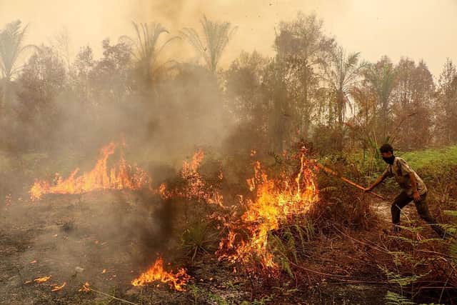 A man uses a stick in an effort to extinguish a wildfire in the Bukit Batu area of Palangkaraya, Central Kalimantan province on October 13, 2026. (Photo by REINA / AFP via Getty Images)