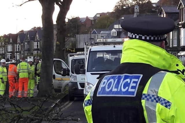 Police supported a pre-dawn tree-felling operation on Rustlings Road in 2016
