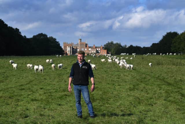 Peter Caley and his father John grow grass for horse hay on their farm at Burton Constable, near Hull. Peter with his sheep close to Burton Constable Hall.