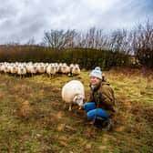 Farmer Frances Standen of Birkdale Farm, Mowthorpe, near Terrington, North Yorkshire have around 100 Romney New Zealand sheep