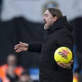 "LIGHT DISAPPOINTMENT": Leeds United manager Daniel Farke (Image: Danny Lawson/PA Wire)