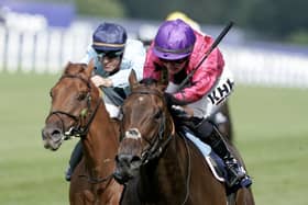 Saffie Osborne riding Dark Trooper win The Dubai Duty Free Shergar Cup Sprint at Ascot Racecourse on August 12, 2023 in Ascot, England. (Picture: Alan Crowhurst/Getty Images)