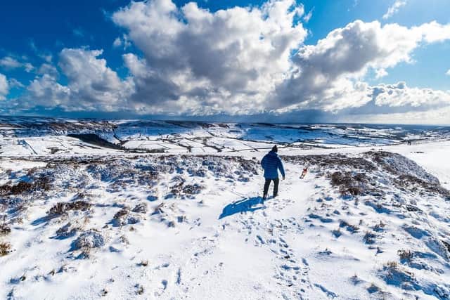 A man walks his dog on the North York Moors National Park. (Pic credit: James Hardisty)