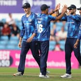 UPS AND DOWNS: Yorkshire Vikings have followed a six-game winning streak in the T20 Blast with two heavy losses, leaving their hopes of reaching the knockout phase in the balance. Picture by John Clifton/SWpix.com