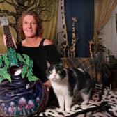 Artist Helen Randle, of Filey, with a painted guitar and her cat. Pic Richard Ponter