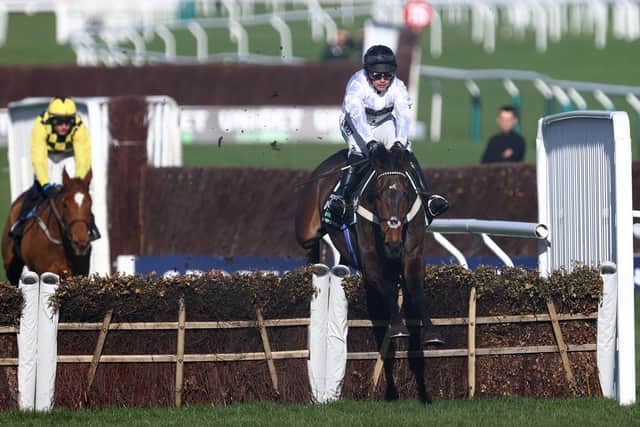 Champion display: Constitution Hill ridden by Nico de Boinville jumps the last on their way to winning the Unibet Champion Hurdle Challenge Trophy during day one of the Cheltenham Festival.