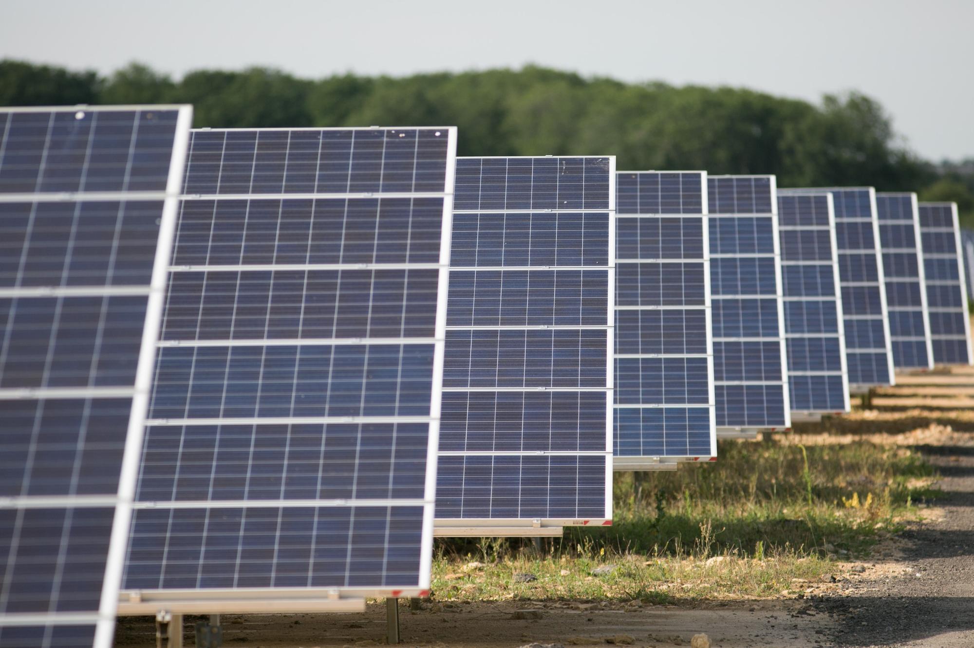 Rethink needed on approach to net zero for the sake of food security and the environment