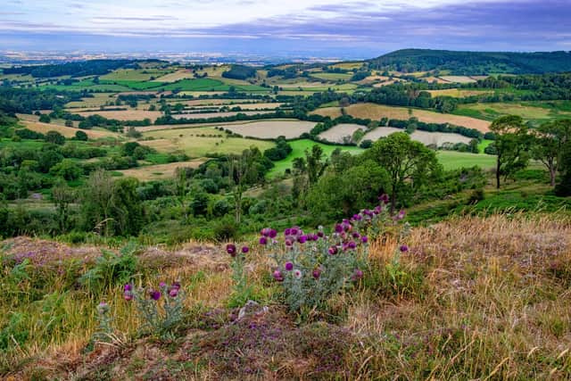 View towards Thirsk from Boltby Bank on the Hambleton Hills on the North York Moors National Park. PIC: Tony Johnson.