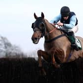 Sigurd in action and being ridden by Gavin Sheehan on their way to winning the Gordon Keeley Memorial Handicap Chase at Catterick Bridge Racecourse in 2020. Photo credit should read: Tim Goode/PA Wire.
