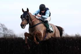 Sigurd in action and being ridden by Gavin Sheehan on their way to winning the Gordon Keeley Memorial Handicap Chase at Catterick Bridge Racecourse in 2020. Photo credit should read: Tim Goode/PA Wire.