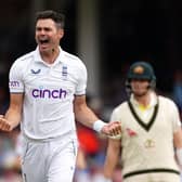 Thanks for the memories: James Anderson, celebrating taking a wicket against Australia, has announced he will retire from Test cricket this summer.