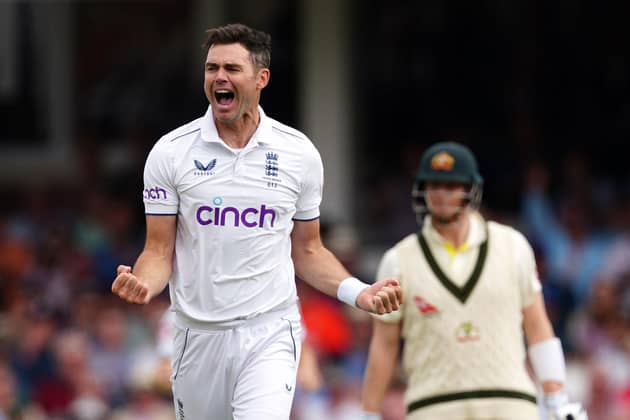 Thanks for the memories: James Anderson, celebrating taking a wicket against Australia, has announced he will retire from Test cricket this summer.