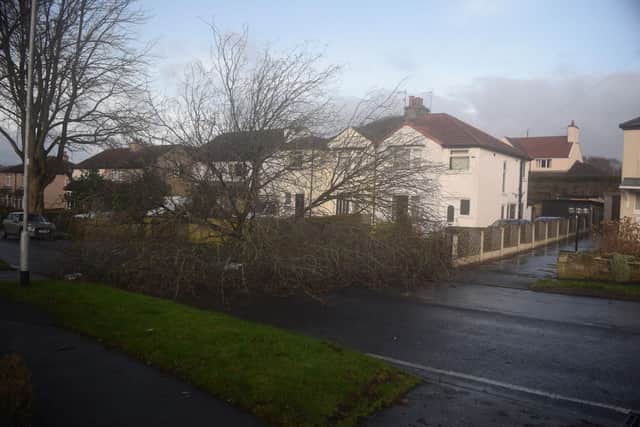A fallen tree on Crowther Avenue, Calveryley, Leeds thanks to Storm Pia