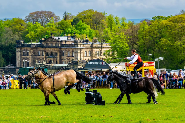 Duncombe Park Country Fair 2024, at Helmsley, North Yorkshire. Pictured Entertaing the crowds in the main ring Ben Atkinson and his Stunt Action Horses. Picture By Yorkshire Post Photographer,  James Hardisty. Date: 6th May 2024.