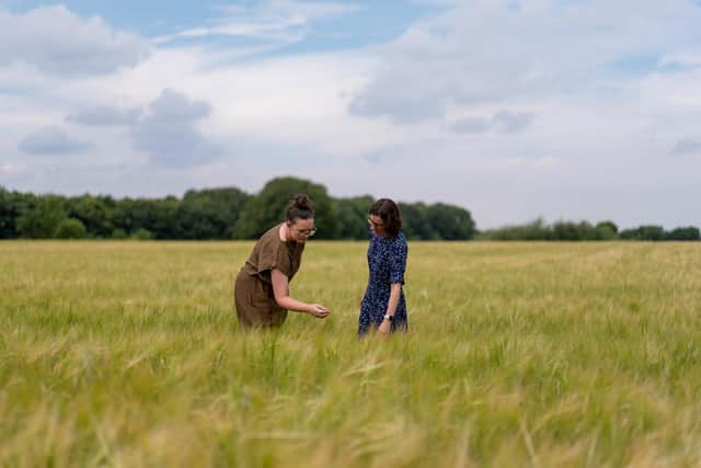Dr Cara Griffiths, co-founder and CTO, and Dr Maria Oszvald, plant biologist, at SugaROx inspecting a wheat field