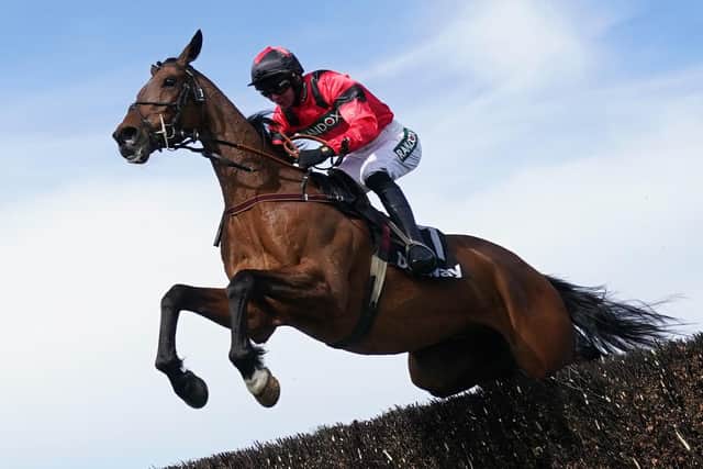 CHALLENGE: Ahoy Senor, who will come up against Ruth Jefferson’s Sounds Russian in the Rowland Meyrick Chase at Wetherby on Boxing Day. Picture: Tim Goode/PA.