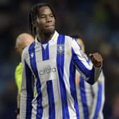 DECISIVE: Sheffield Wednesday goalscorer Ike Ugbo