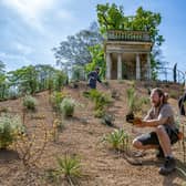 Gardeners Sam Mottershead, centre, with Chris Upton and Ed O'Connell at Brodsworth Hall near Doncaster finish the restoration of the summer house gardens with a Mediterranean planting scheme in a Victorian style photographed by Tony Johnson for The Yorkshire Post.