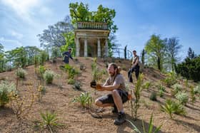 Gardeners Sam Mottershead, centre, with Chris Upton and Ed O'Connell at Brodsworth Hall near Doncaster finish the restoration of the summer house gardens with a Mediterranean planting scheme in a Victorian style photographed by Tony Johnson for The Yorkshire Post.