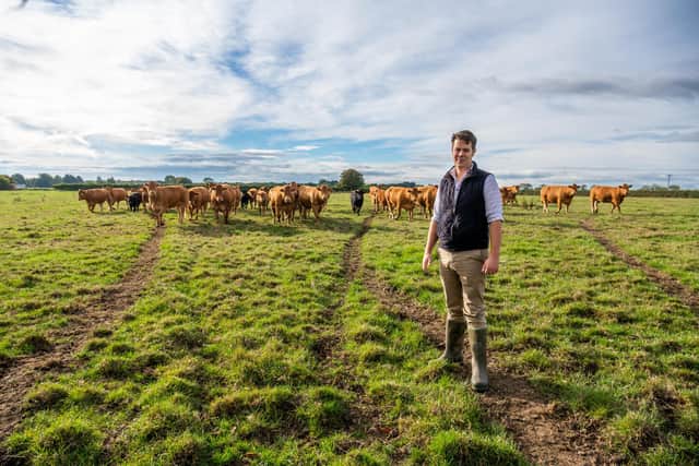 Farmer David Hildreth, of Grasslands Farm, Rufforth, York. Pictured Farmer  David Hildreth, with their Limousin beef herd.