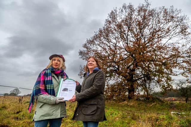 Pictured Campaigner Julie Bentley, handing over a petition to save the trees to Margaret Corless, Ward Councillor for South Hunsley at the foot of Oak Tree, (T4) with (T3) visible in the background. T3 is due to be felled. Picture By Yorkshire Post Photographer,  James Hardisty. Date: 4th December 2023.