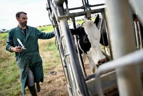 The NFU is calling for vaccine import licensing delays to be ironed out.
