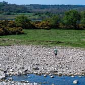 A couple walking their dogs alongside the eroded banks of the River Swale between Easby and Brompton on Swale in Richmondshire. (Pic credit: James Hardisty)