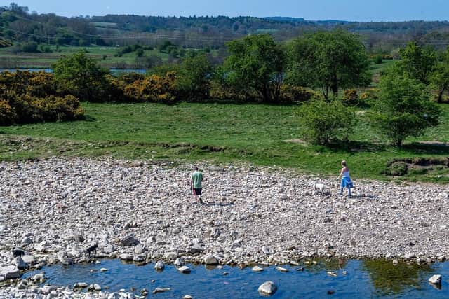 A couple walking their dogs alongside the eroded banks of the River Swale between Easby and Brompton on Swale in Richmondshire. (Pic credit: James Hardisty)