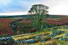 Have you explored Bronte Country yet?