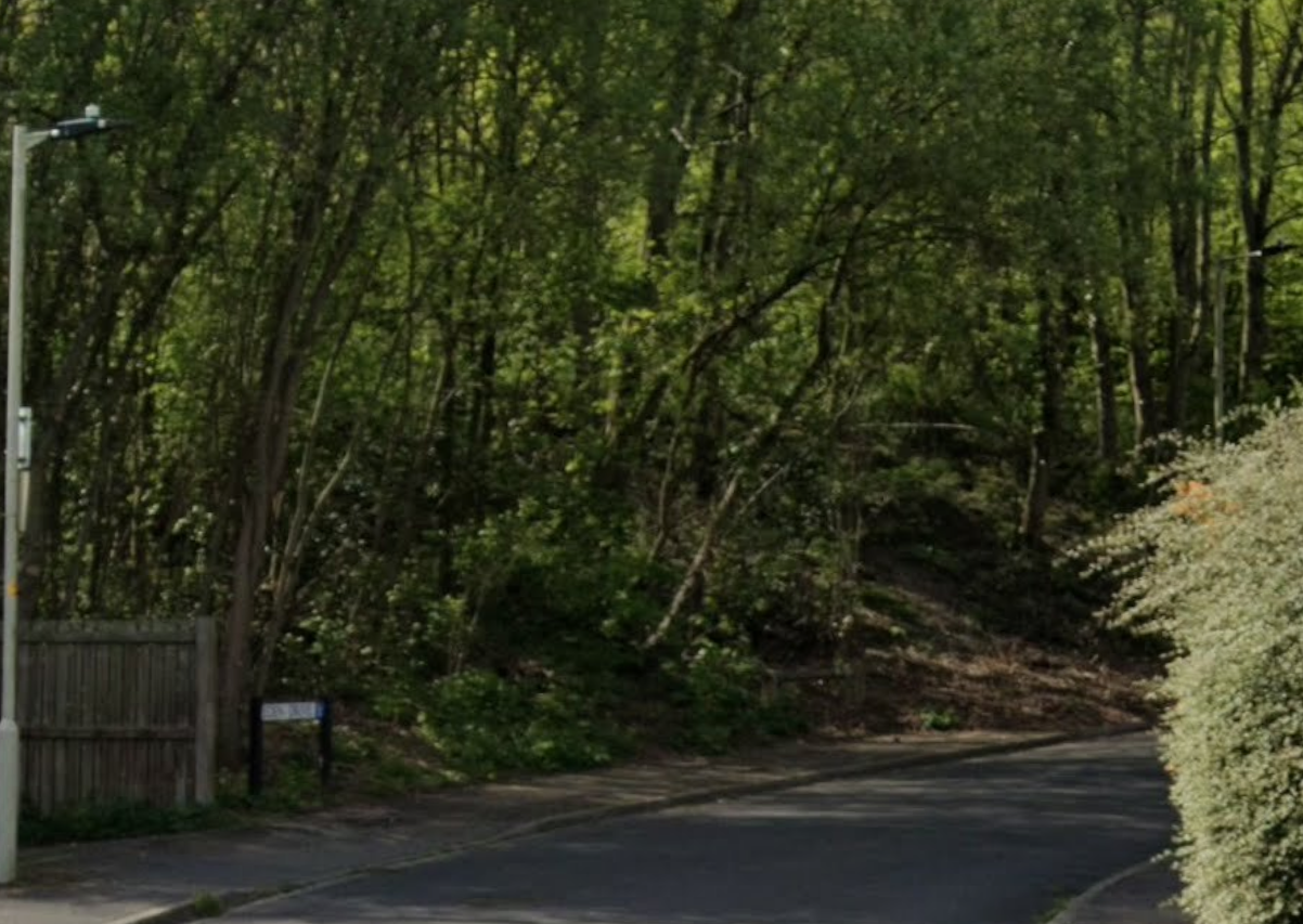 Man airlifted to hospital after being hit by pick-up truck as four arrested