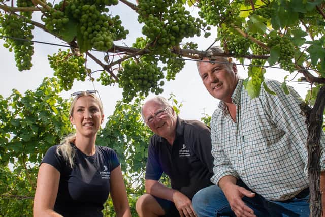 Alice Maltby with brother Tom Wilson and father Henry Wilson amongst the vines.
