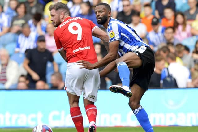 SOUTH YORKSHIRE DELIGHT: Barnsley and Sheffield Wednesday are both tipped to push their League One promotion chances this weekend