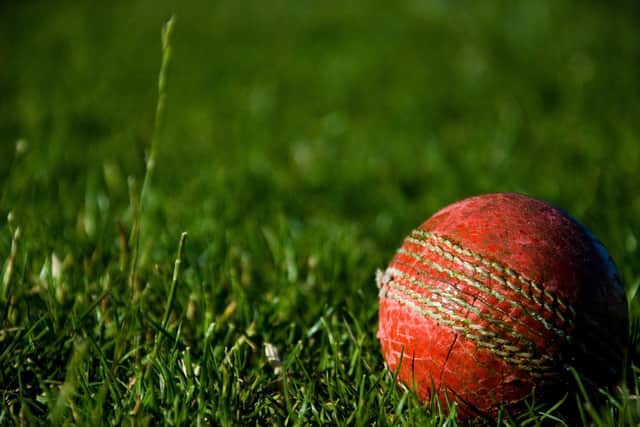 Cricket ball in grass