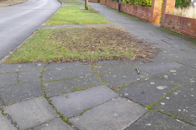 Damage to a verge on the street in suburban Doncaster