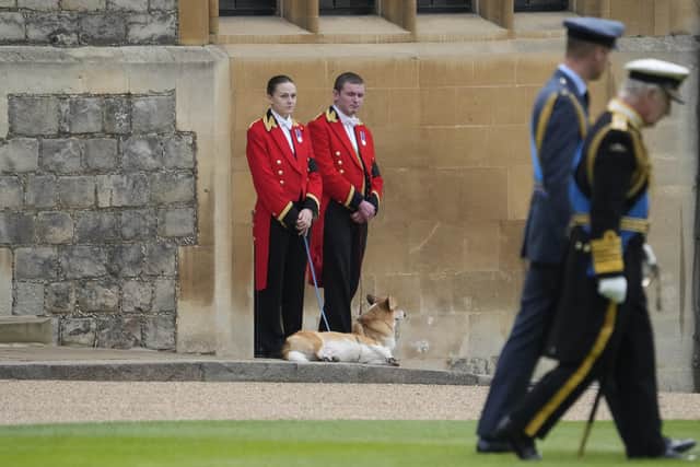 Members of staff, with corgi dogs, await the arrival of the coffin of Queen Elizabeth II, as Britain's King Charles III and Prince William pass at Windsor Castle (AP Photo/Gregorio Borgia, Pool)