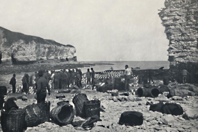 The fishermen at work in 1895.