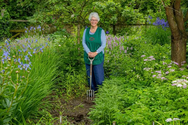 Vanessa Cook, owner of Stillingfleet Lodge Gardens, working in the stock beds.  Picture: Tony Johnson.