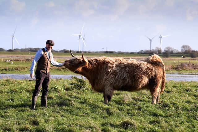 James Mccune is pictured with a Highland cow at Dumble Farm. (Pic credit: Simon Hulme)
